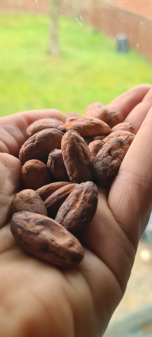 Organic Chocolate Bar Cacao 100% Ceremonial Grade